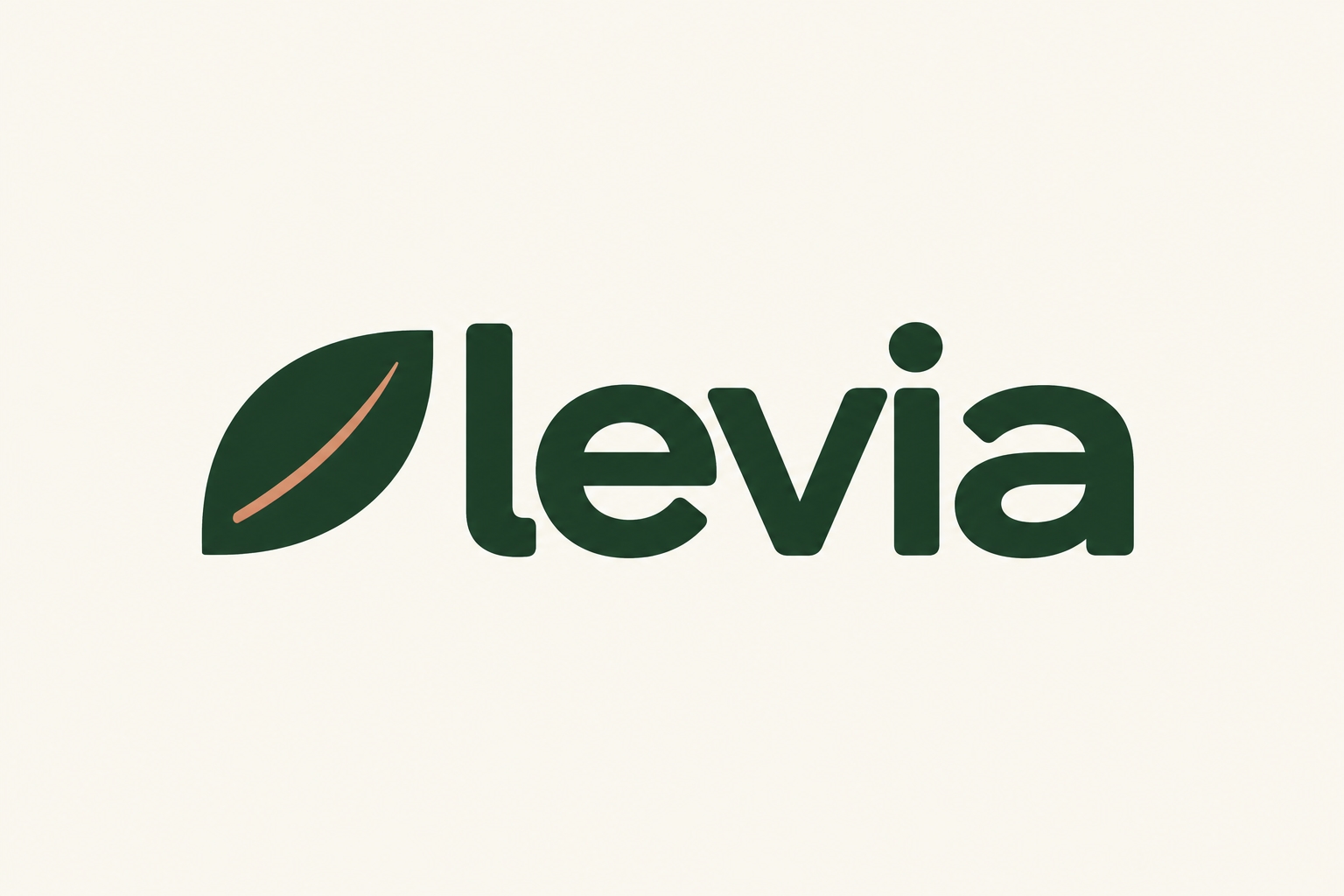 Como a Levia conecta cada etapa da jornada de cuidado